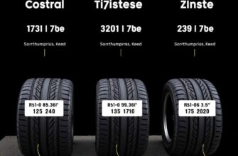 Летние шины для Citroen какой размер выбрать